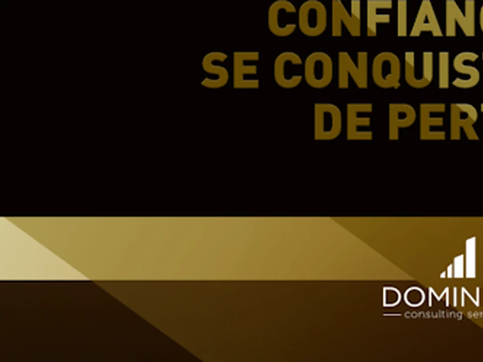 Dominium Consulting Services